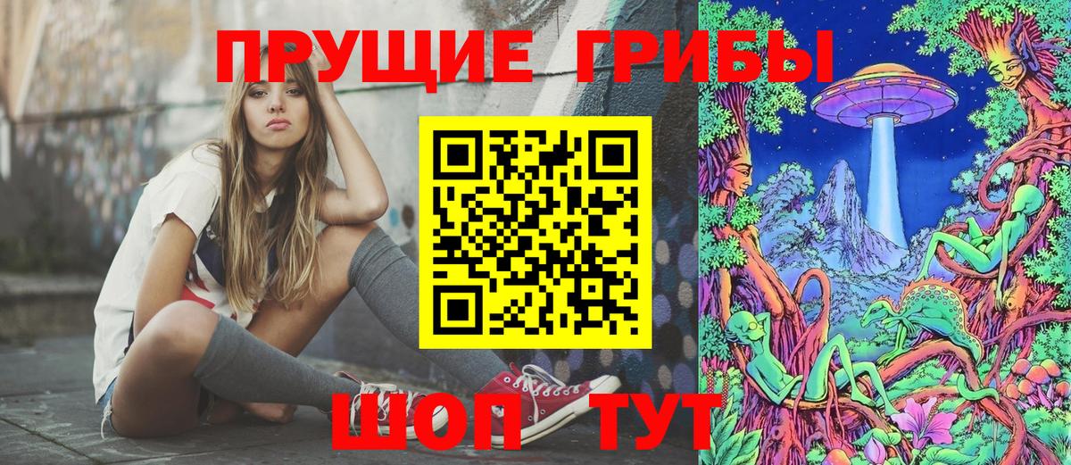 Королёв  Галлюциногенные грибы GOLDEN TEACHER  Вход с VPN 
